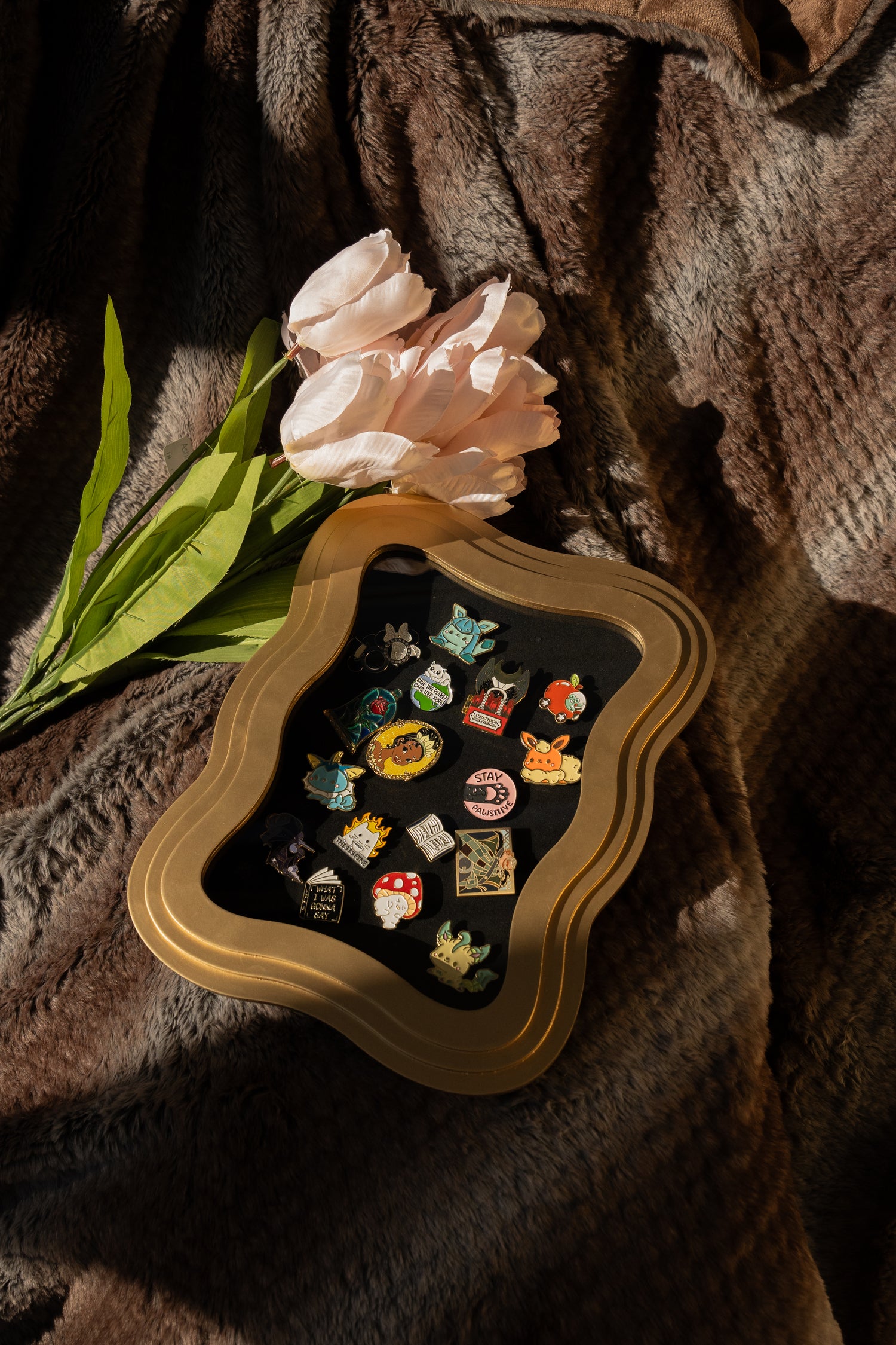 Pre-Order The Compendium