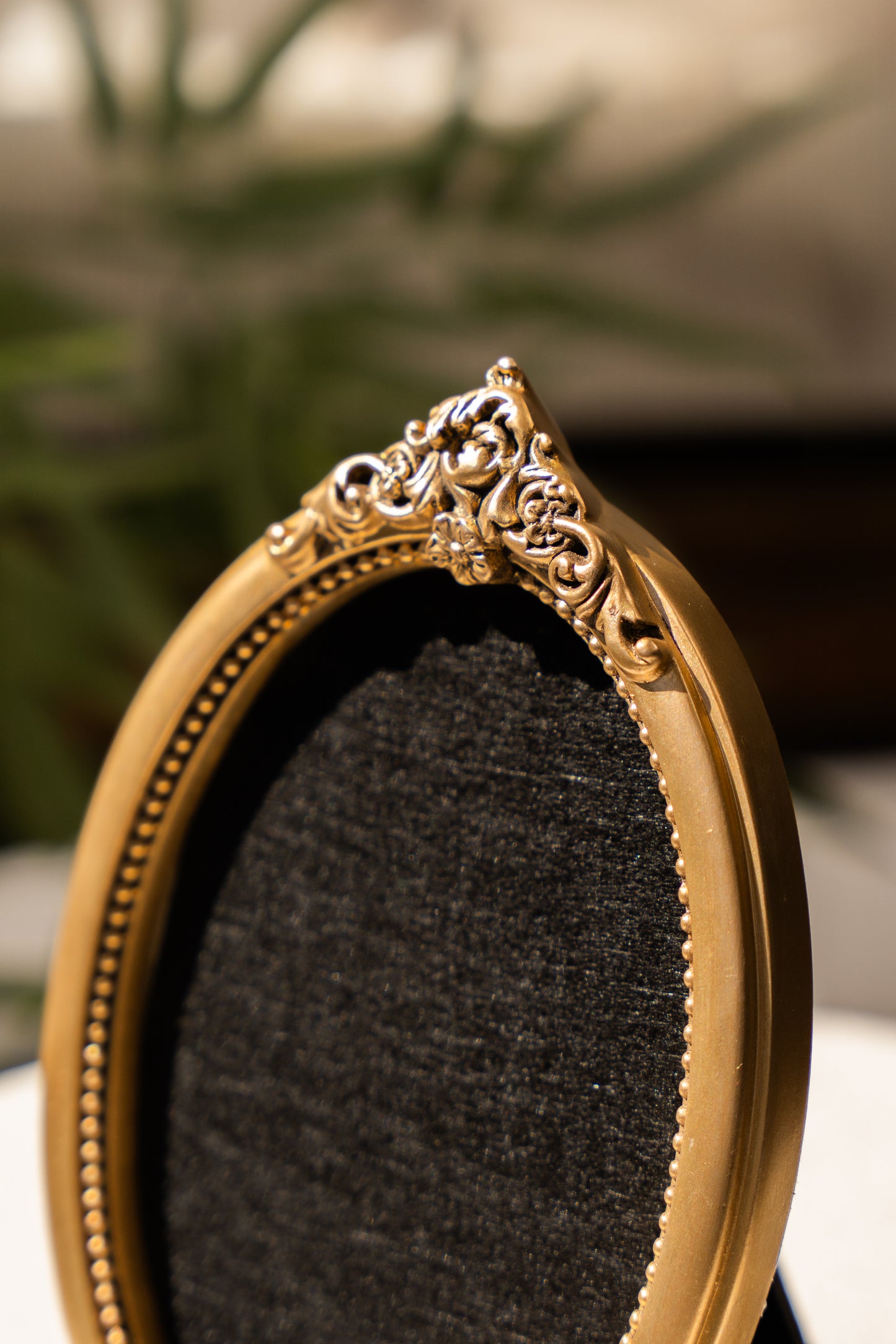 Pre-Order The Gilded Oval